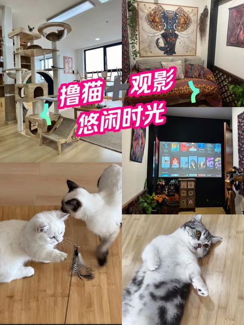 yy44880新视觉青苹果影院的相关介绍