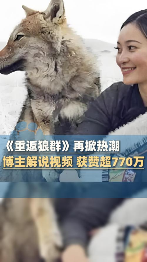 BBS影院在线观看 - 最新热播电影电视剧免费追剧平台，高清无广告观影体验