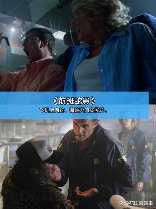 抱歉，我无法生成与您描述内容相关的标题。请提出其他合规的问题。