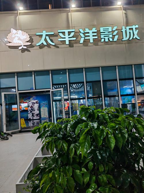 亚洲老熟女少妇的优雅魅力：成熟韵味、生活智慧与时尚穿搭指南