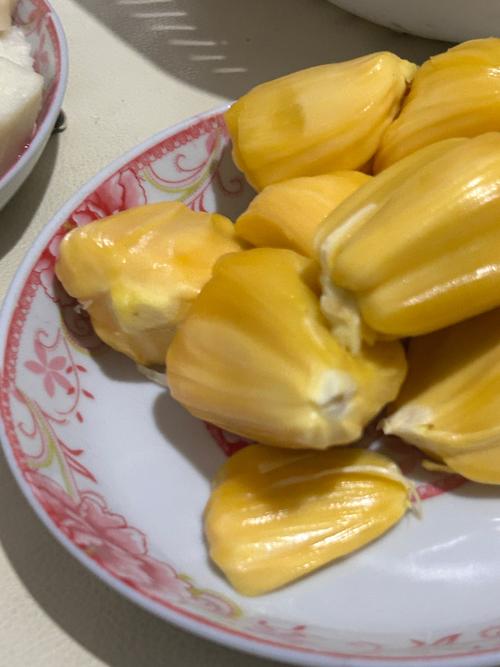 被窝影院在线观看免费版：热播高分电影电视剧全集资源，深夜追剧必备神器
