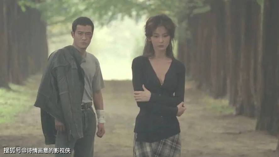 亚洲少妇中出一区的相关介绍