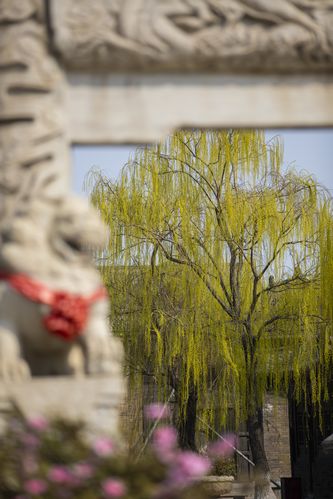 根据“我不卡影院”生成的SEO标题如下：

**我不卡影院 - 在线高清免费观影，最新热门电影电视剧不卡顿无广告**