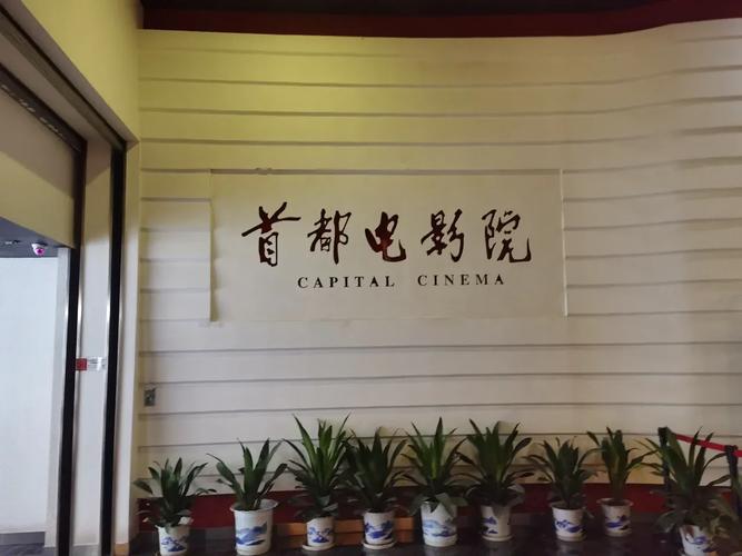 飞猪电影院在线观影 | 最新热门电影免费观看、高清影视资源推荐、VIP会员影片抢先看