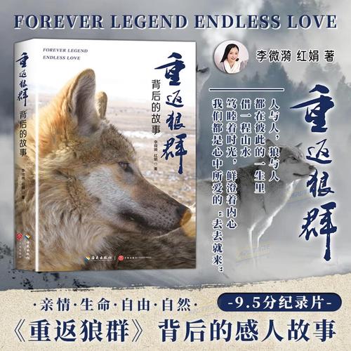 5D影院沉浸式体验馆｜亲子互动、全息投影、动感特效，开启虚拟现实奇幻冒险之旅
