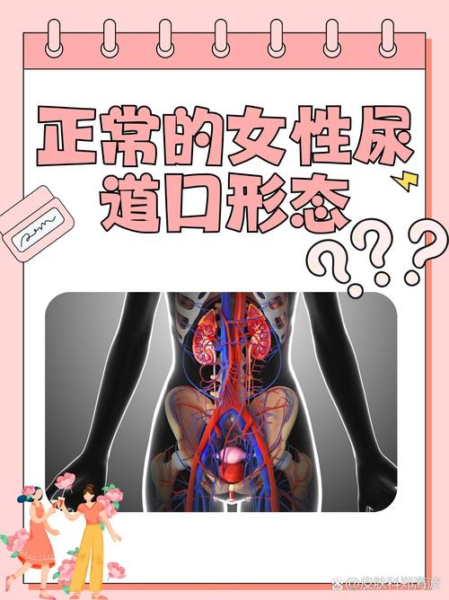女性分泌黄色黏物是什么的相关介绍